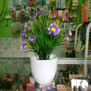 ini adalah Bunga Plastik Aglonema, size: 27cm, material: Plastic, color: multicolor, brand: Dekorasikanor, age_group: all ages, gender: unisex