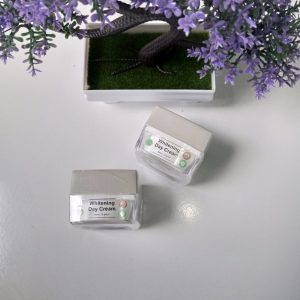 ini adalah Ms Glow Day Cream, brand: Ms Glow, age_group: adult, gender: female